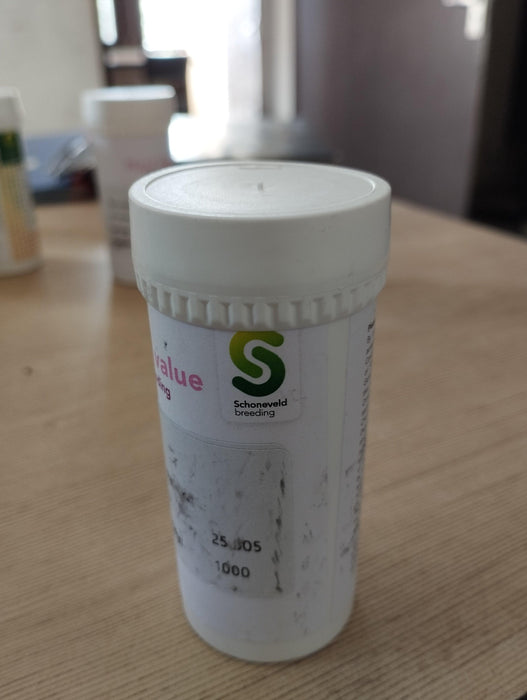 Ranunculus Sprinkles F1 Pelleted (Schoneveld breeding) - Farmers Stop