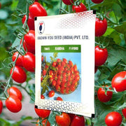Rambha F1 Hybrid Red Oblong Cherry Tomato (Known You Seeds) - Farmers Stop