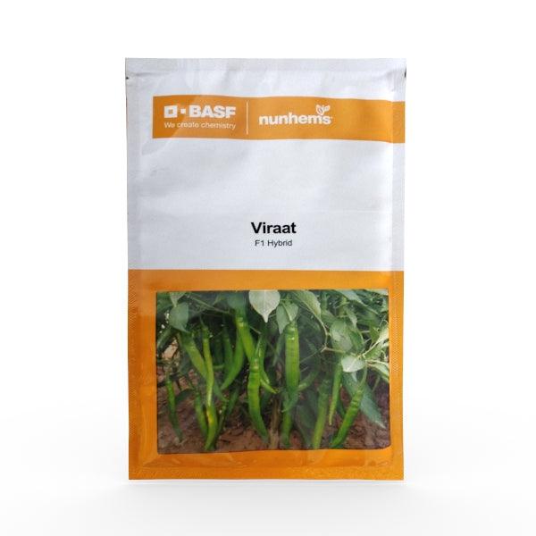 Viraat F1 Hybrid Chilli (BASF-Nunhems) - Farmers Stop