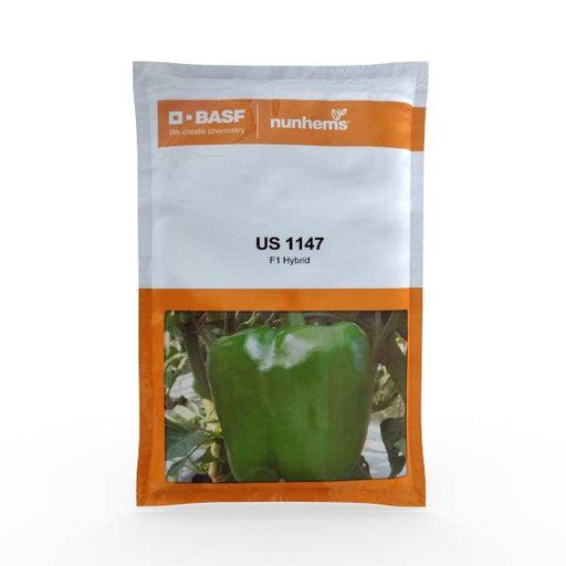 US 1147 F1 Hybrid Capsicum (Nunhems) - Farmers Stop