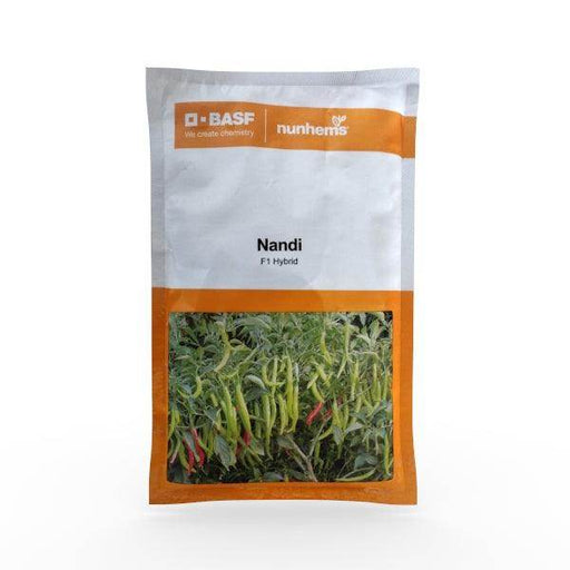 Nandi F1 Hybrid Chilli (BASF | Nunhems) - Farmers Stop