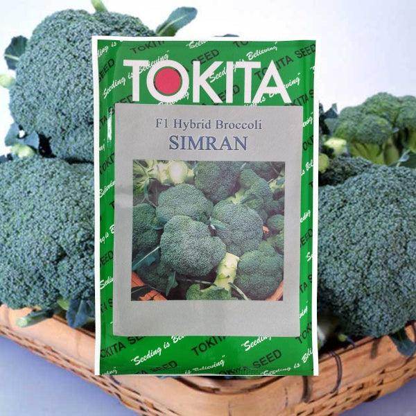 Winter Broccoli Seeds Online in India | Farmers Stop