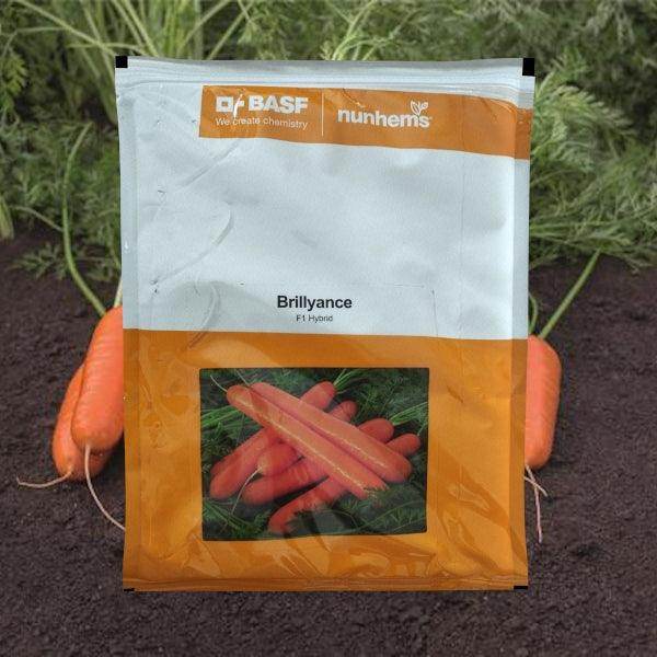 BRILLYANCE F1 Hybrid Nantes Carrot (BASF-Nunhems) - Farmers Stop