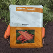 BRILLYANCE F1 Hybrid Nantes Carrot (BASF-Nunhems) - Farmers Stop