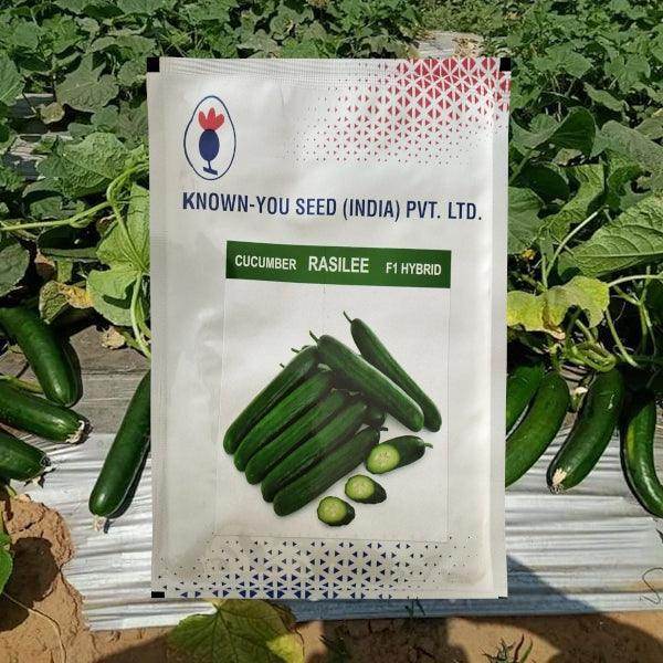 Rasilee F1 Hybrid Cucumber (Known You Seeds) - Farmers Stop