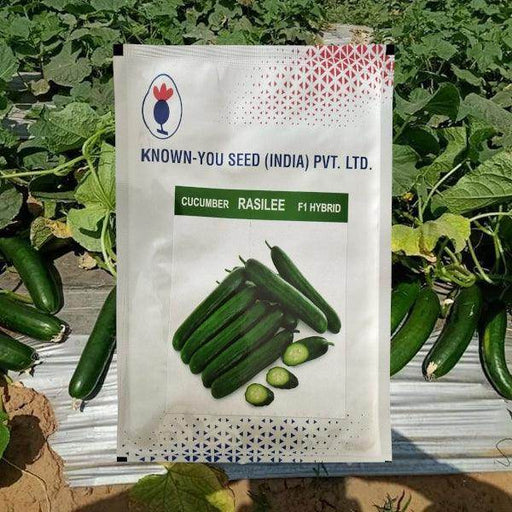 Rasilee F1 Hybrid Cucumber (Known You Seeds) - Farmers Stop