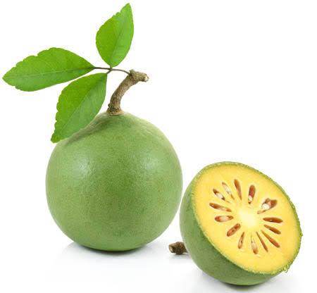 Bael Fruit seeds (Bel, Bilva Patra, Bengal quince, Maredu, Indian Bael, Golden Apple Fruit Seeds for planting) बेल फल - Farmers Stop