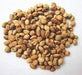 Bael Fruit seeds (Bel, Bilva Patra, Bengal quince, Maredu, Indian Bael, Golden Apple Fruit Seeds for planting) बेल फल - Farmers Stop