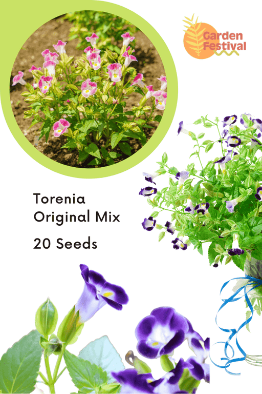 Torenia Beauty Original Mix Pelleted (Garden Festival) - Farmers Stop