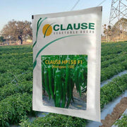 HP 158 F1 Hybrid Chilli (Clause Seeds) - Farmers Stop