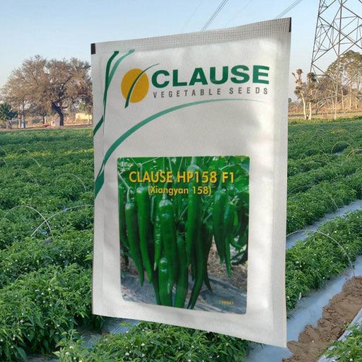 HP 158 F1 Hybrid Chilli (Clause Seeds) - Farmers Stop