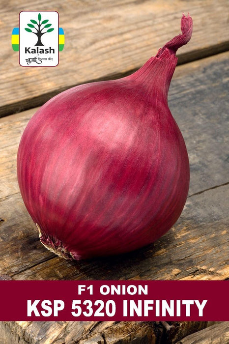 Premium Segment - KSP 5320 " INFINITY" Hybrid F1 Onion (KALASH SEEDS) - Farmers Stop