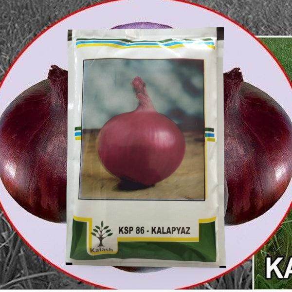 Kala Pyaz KSP-86 Onion (KALASH SEEDS) - Farmers Stop