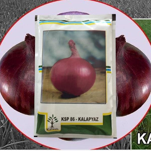 Kala Pyaz KSP-86 Onion (KALASH SEEDS) - Farmers Stop