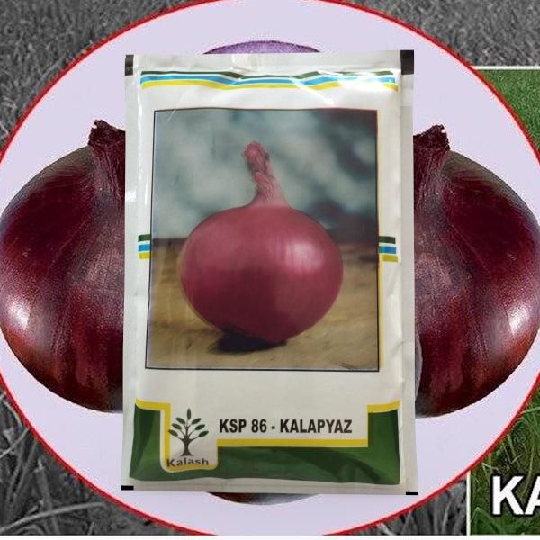 Kala Pyaz KSP-86 Onion (KALASH SEEDS) - Farmers Stop
