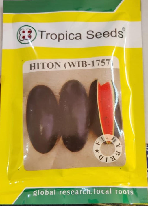 Hiton (WIB-1757) F1 Hybrid Watermelon Tropica Seeds - Farmers Stop