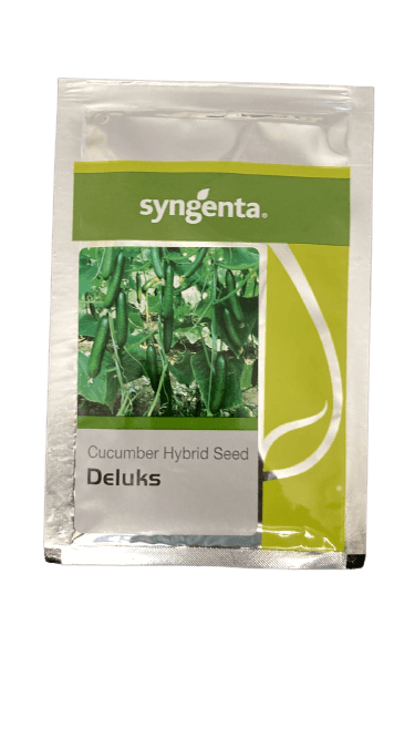 Deluks F1 Hybrid Polyhouse Cucumber (Syngenta) - Farmers Stop