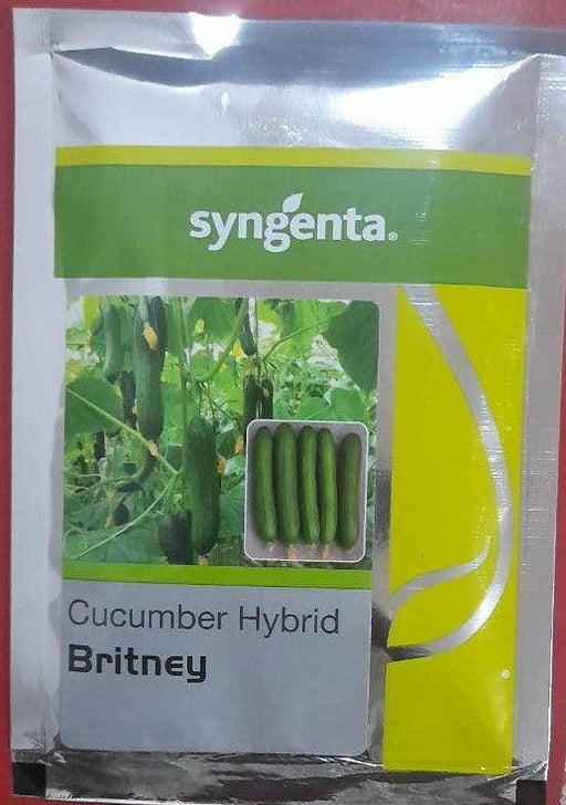Britney F1 Hybrid Polyhouse Cucumber (Syngenta) - Farmers Stop
