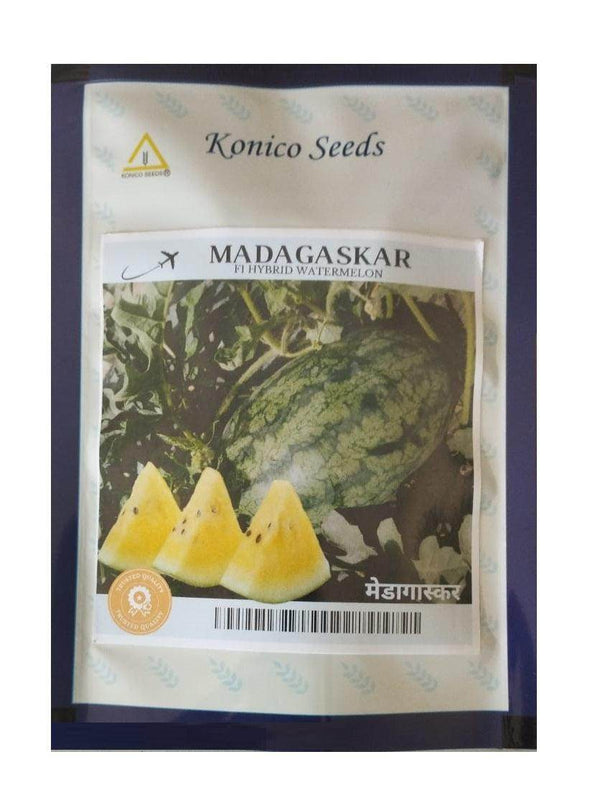 Madagaskar F1 Yellow Flesh Hybrid watermelon (Konico seeds) - Farmers Stop