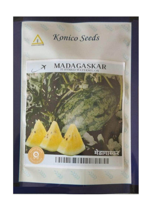 Madagaskar F1 Yellow Flesh Hybrid watermelon (Konico seeds) - Farmers Stop