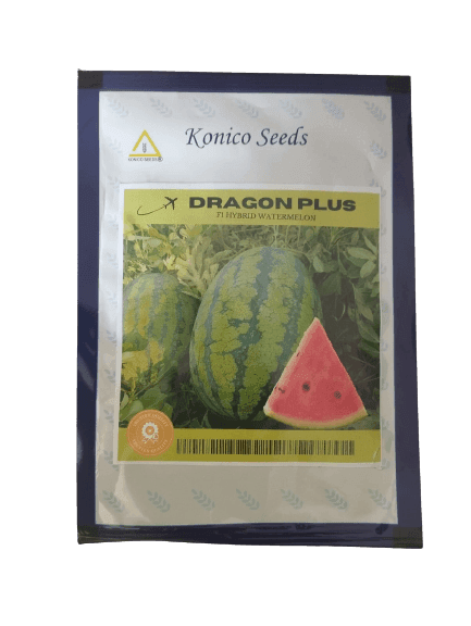 Dragon Plus F1 Hybrid Watermelon (Konico Seeds) - Farmers Stop