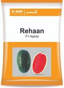 Rehaan F1 Hybrid Watermelon (Nunhems) - Farmers Stop