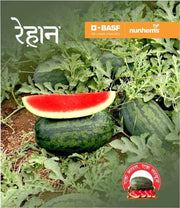 Rehaan F1 Hybrid Watermelon (Nunhems) - Farmers Stop