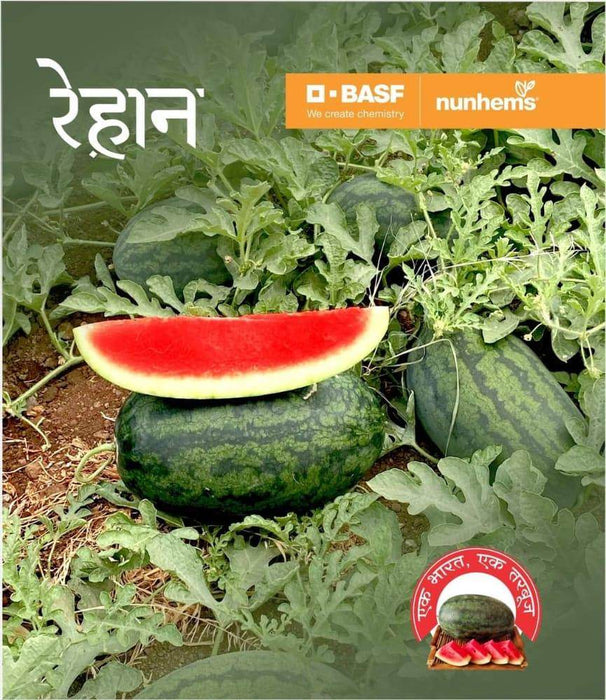 Rehaan F1 Hybrid Watermelon (Nunhems) - Farmers Stop