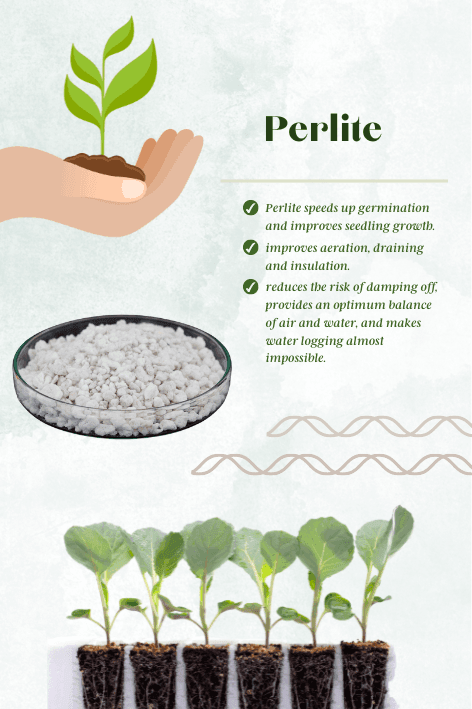 High Quality Perlite for Gardening Potting Soil, Indoor & Outdoor, Hydroponics and Horticulture Potting Mix - Farmers Stop