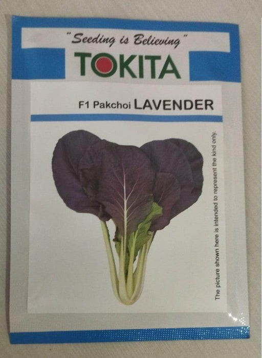 Lavender F1 Hybrid Purple Pakchoi (Tokita Seeds) - Farmers Stop