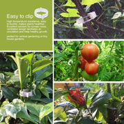 Plant Vegetable Stem Support Clips - Farmers Stop