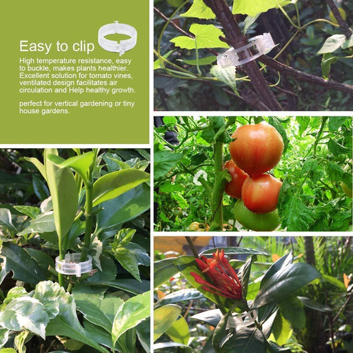 Plant Vegetable Stem Support Clips - Farmers Stop