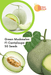 Hybrid Green Flesh Muskmelon / Kharbooza - Sweet and Extremely Delicious - Farmers Stop