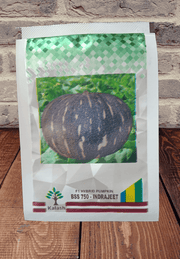 BSS 750- INDRAJEET F1 Pumpkin (Kalash seeds) - Farmers Stop