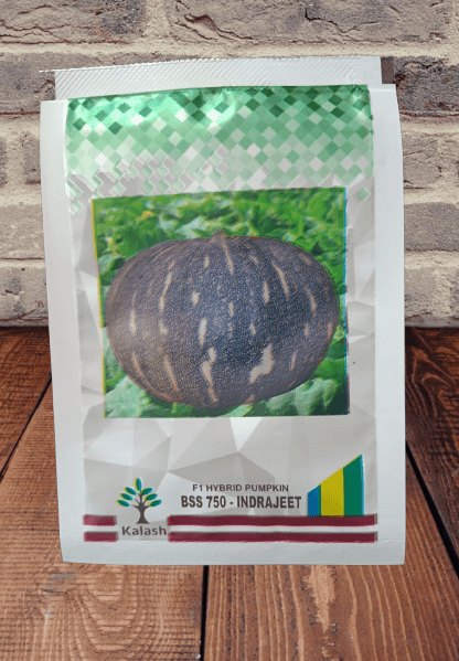 BSS 750- INDRAJEET F1 Pumpkin (Kalash seeds) - Farmers Stop
