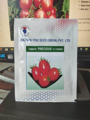 PRECIOUS F1 Hybrid Tomato - Wilt Resistant (Known You Seeds) - Farmers Stop