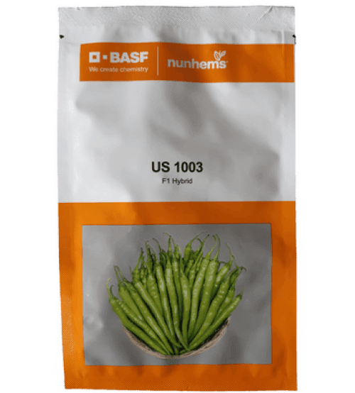 US 1003 F1 Hybrid Chilli (BASF | Nunhems) - Farmers Stop
