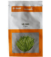US 1003 F1 Hybrid Chilli (BASF | Nunhems) - Farmers Stop