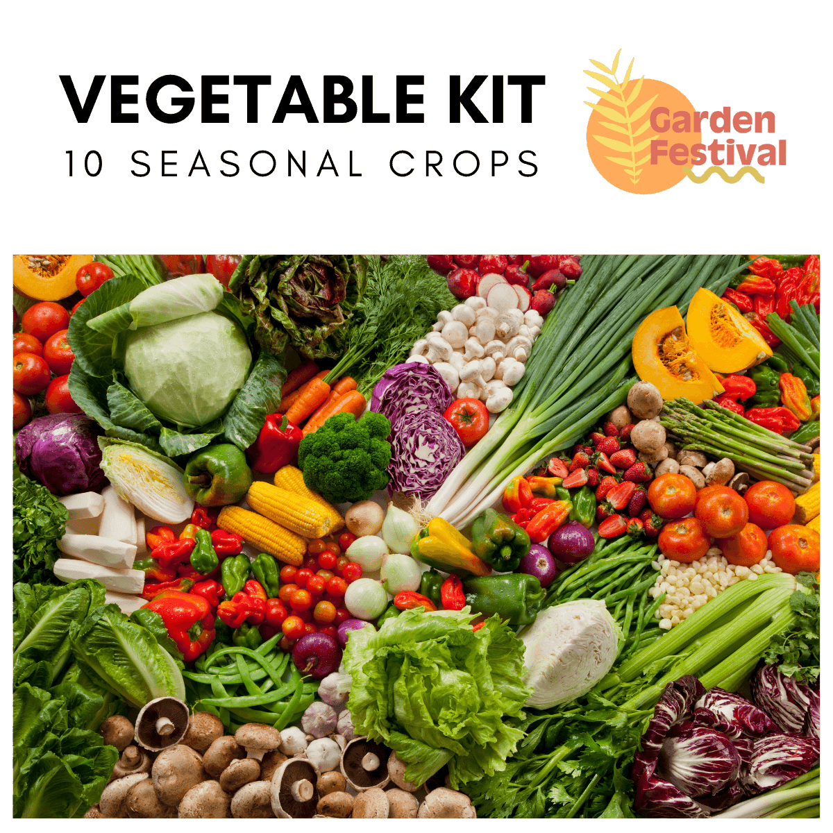 10 Easy Growing Best Vegetable Seed's Kit (Garden Festival) - Farmers Stop