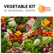 10 Easy Growing Best Vegetable Seed's Kit (Garden Festival) - Farmers Stop