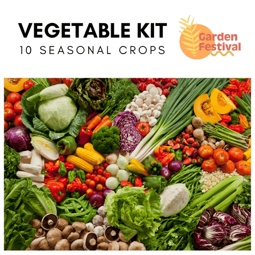 Vegetable Seeds