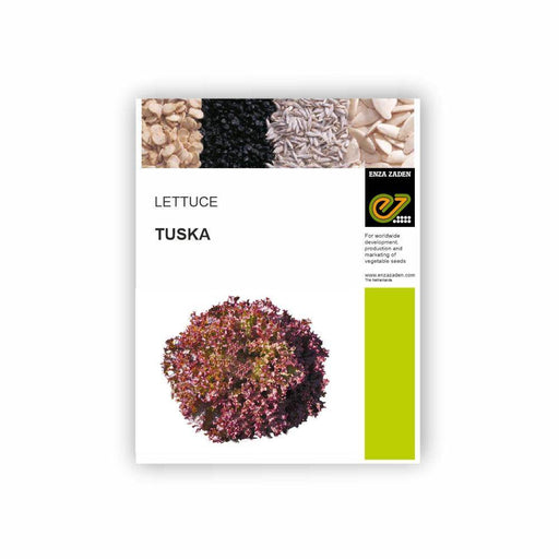 Tuska Lollo Rosso Lettuce (Enza Zaden) - Farmers Stop
