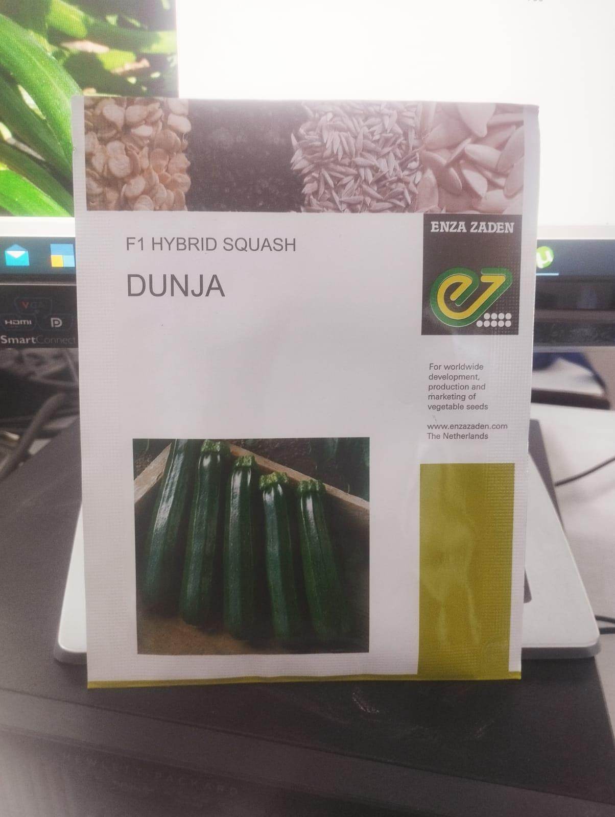 DUNJA F1 HYBRID ZUCCHINI (ENZA ZADEN) - Farmers Stop