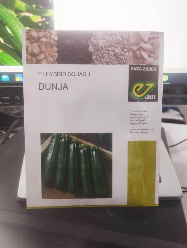 DUNJA F1 HYBRID ZUCCHINI (ENZA ZADEN) - Farmers Stop