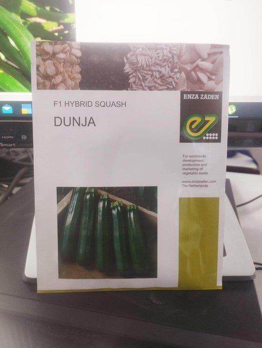DUNJA F1 HYBRID ZUCCHINI (ENZA ZADEN) - Farmers Stop