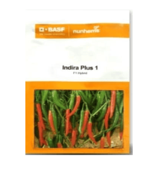 Indira Plus 1 F1 Hybrid Chilli (BASF | Nunhems) - Farmers Stop