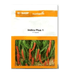 Indira Plus 1 F1 Hybrid Chilli (BASF | Nunhems) - Farmers Stop