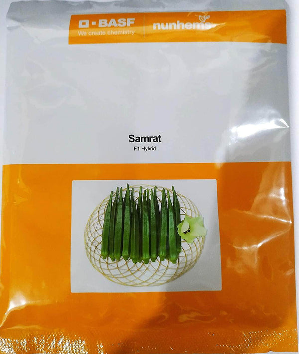 Samrat/सम्राट Okra F1 Hybrid (Nunhems) - Farmers Stop