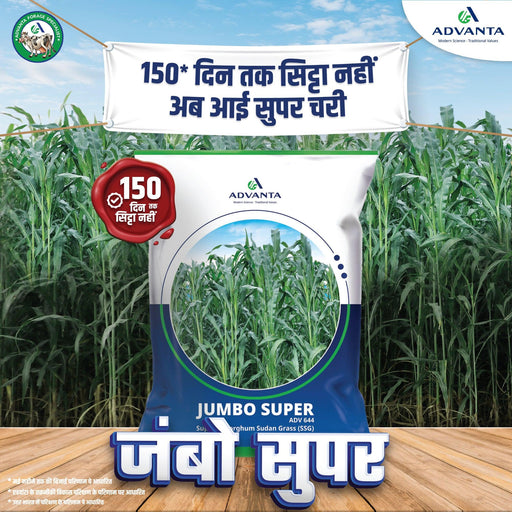 Jumbo Super ADV644 (Advanta) - Farmers Stop