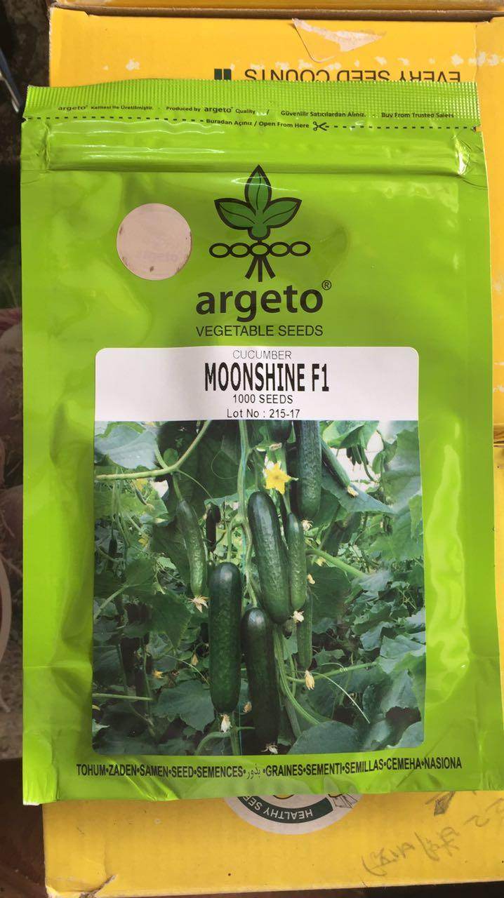 Moonshine F1 Cucumber for Polyhouse (Argeto Seeds) - Farmers Stop